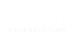Smart Microsystems