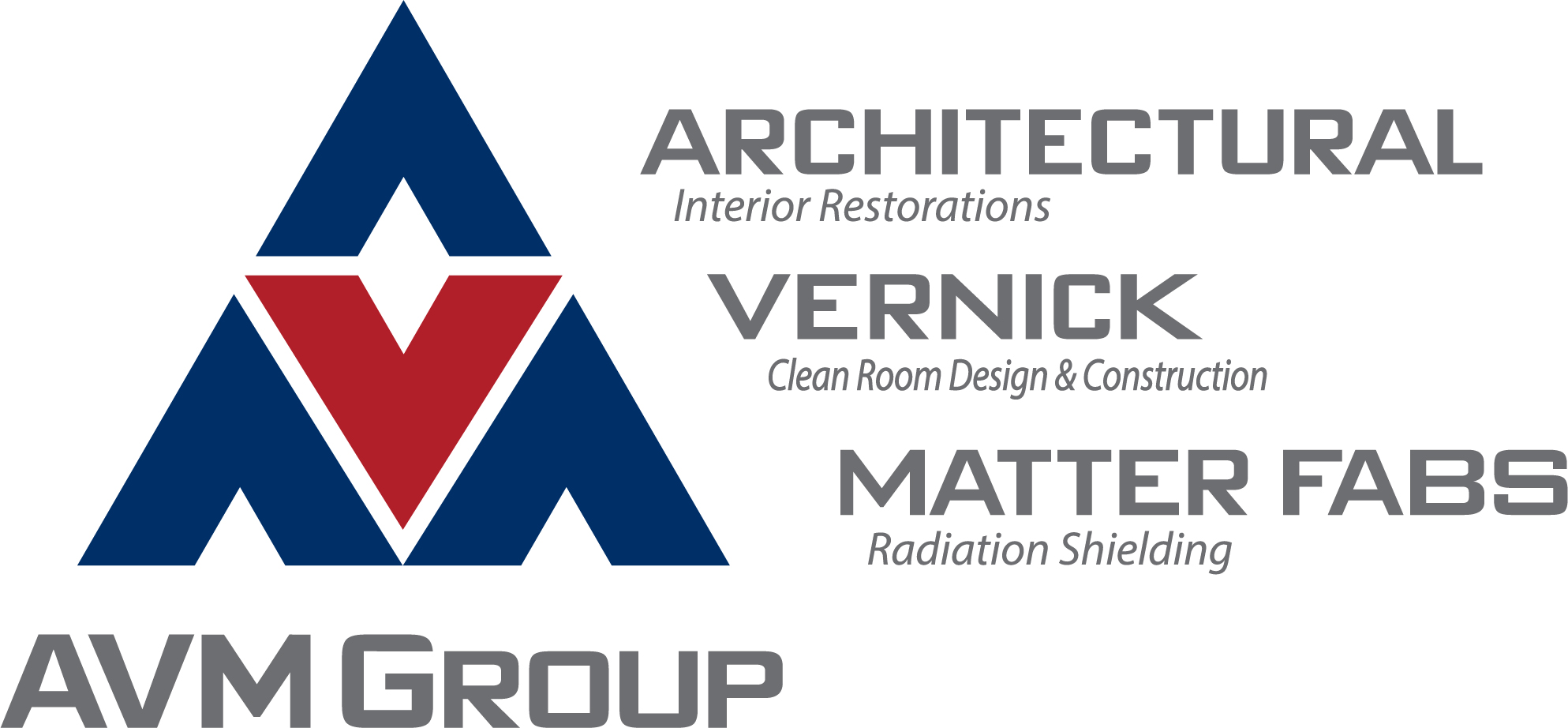 AVM Group Logo with segments rgb